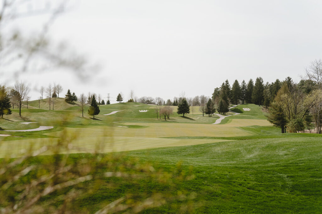 The landscape of whistle bear on a wedding day